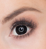 Partylenzen Zwart Halloween 1 Week