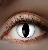 UV Flash Witte Kat kleurlenzen 1 Maand