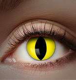 UV Flash Gele Kat kleurlenzen 1 Maand