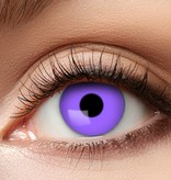 Partylenzen Paars 1 Week