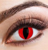 Partylenzen Kat Rood 1 Week