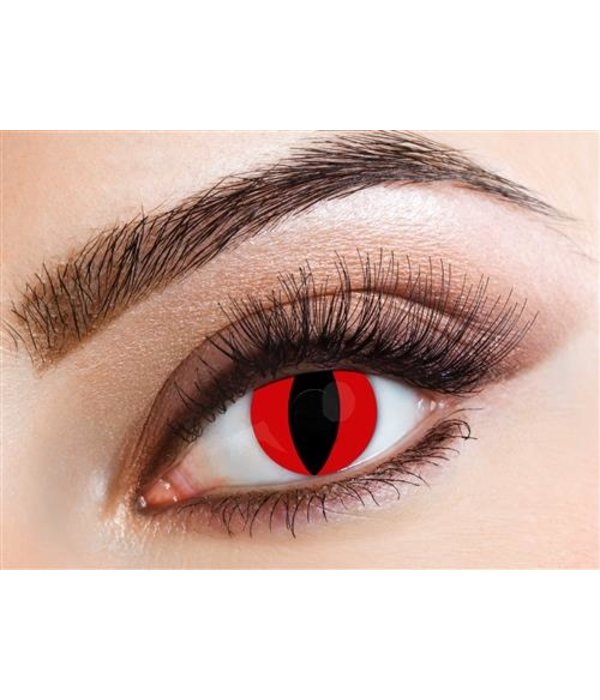 Partylenzen Kat Rood 1 Week