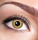 Partylenzen Goud  Sparkle 1 Jaar