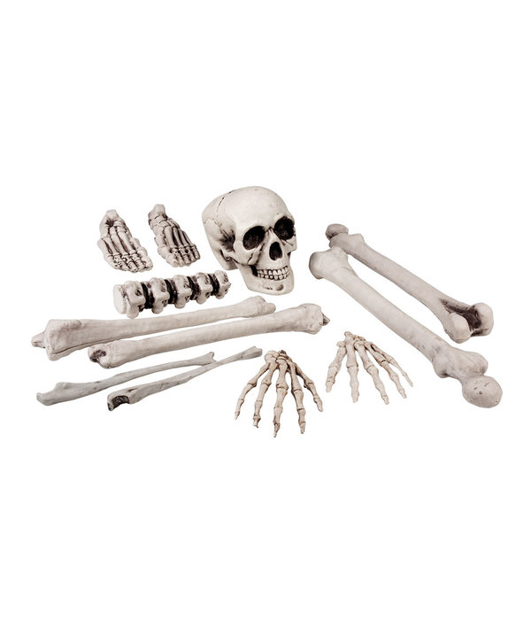 Set Doodshoofd Met Beenderen (12st)