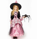 Heksenjurk Kind Roze Premium + Hoed