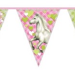 Paarden Slingers Party 6 meter