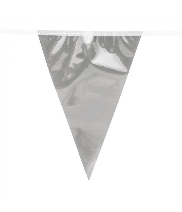 Vlaggenlijn Zilver Metallic (10m)