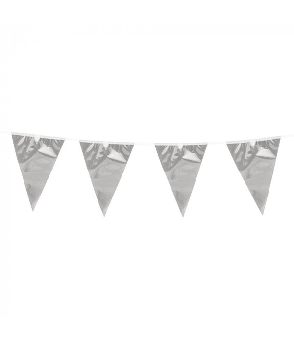 Vlaggenlijn Zilver Metallic (10m)