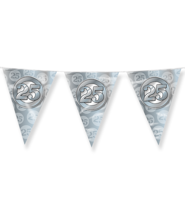 Vlaggenlijn 25 Jaar Getrouwd Zilver (10m)