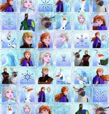 Frozen II Stickervel