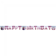 Letterslinger Happy Birthday Frozen II (2m)