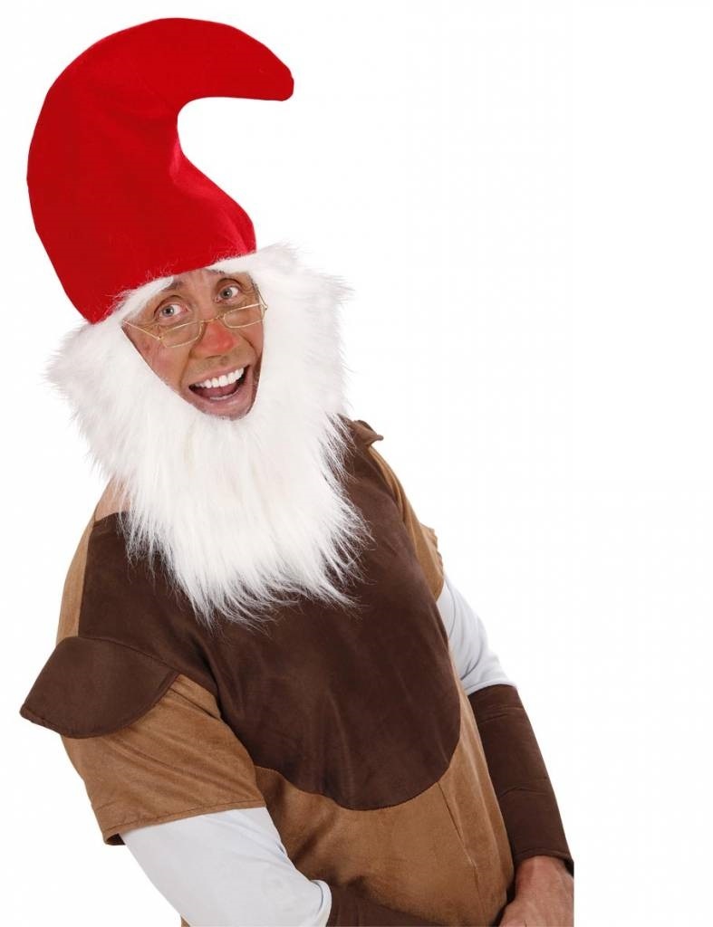 Kaboutermuts met baard en wenkbrauwen kind afbeelding