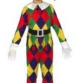 Kleurrijk Harlekijn kostuum jongen