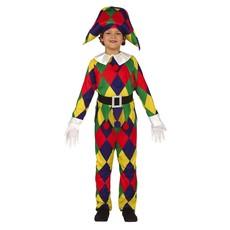 Kleurrijk Harlekijn kostuum jongen