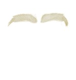 Sinterklaas wenkbrauwen kanekalon Zamora