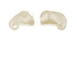 Sint wenkbrauwen deluxe