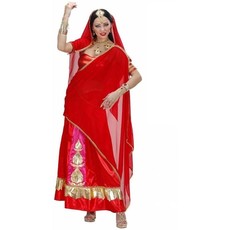 Bollywood Diva kostuum