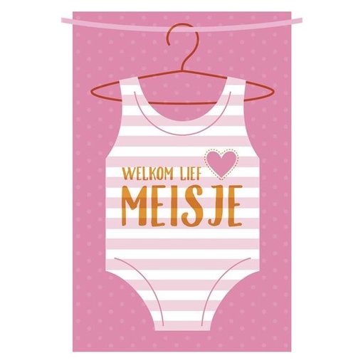 Wenskaart Geboorte Rompertje 'Welkom Lief Klein Meisje'