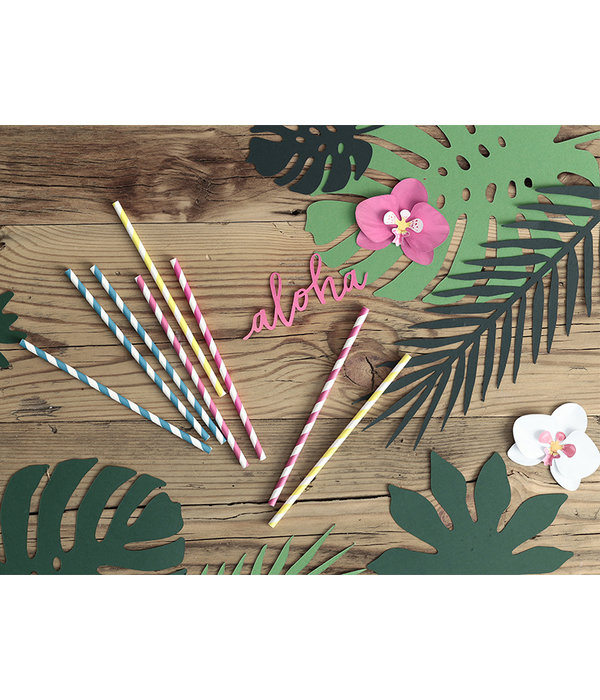 Papieren Rietjes Geel/Wit (10st)