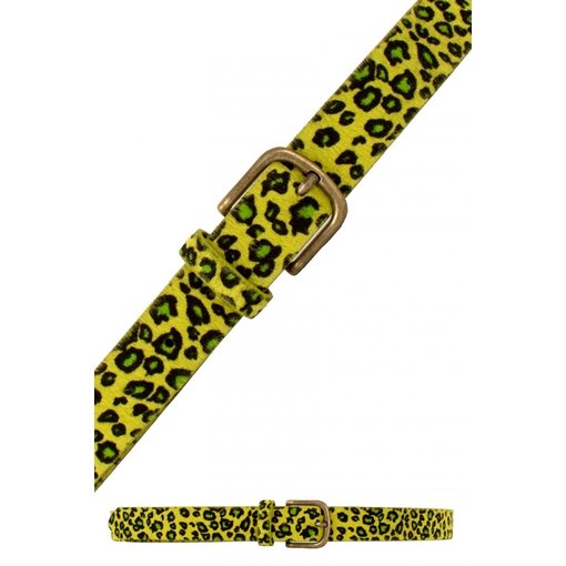 Riem Panter Geel