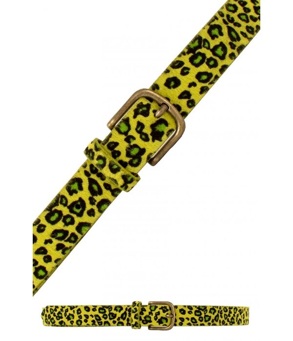 Riem Panter Geel