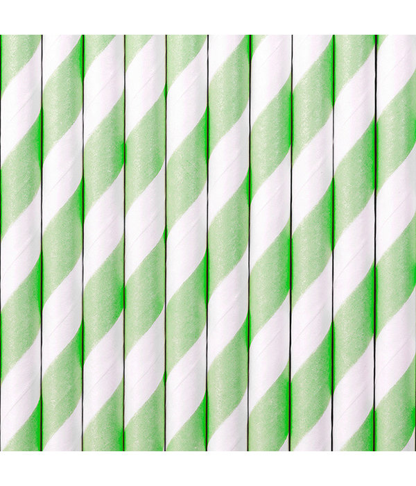 Papieren rietjes Fresh Mint