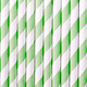 Papieren rietjes Fresh Mint