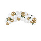 Ballonnenboog  Set Goud/Wit  (2m)