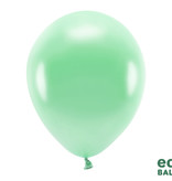 Ballonnen Metallic Mint Premium Organic (100st)