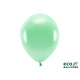 Ballonnen Metallic Mint Premium Organic (100st)
