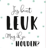 Valentijnskaart 'Jij bent Leuk, Mag ik je houden'