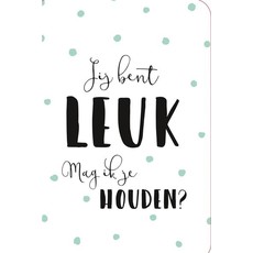 Valentijnskaart 'Jij bent Leuk, Mag ik je houden'