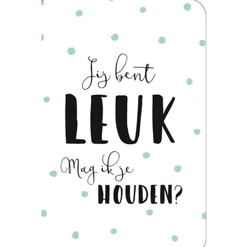 Valentijnskaart 'Jij bent Leuk, Mag ik je houden'