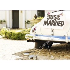 Just Married Kaart Bruidswagen Blikjes