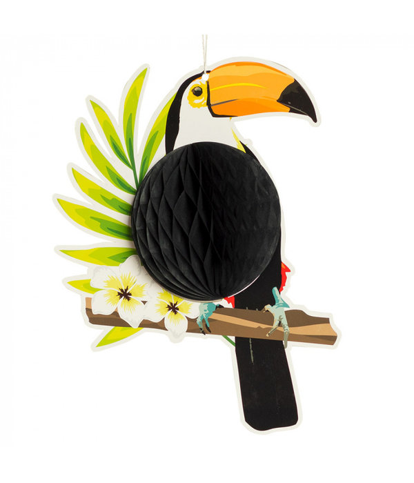 Honeycomb Toekan Tropical Hawaii