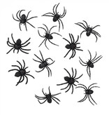 Set 12 Spinnen (5 x 6 cm)