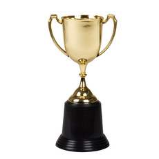 Trofee Goud (22cm)