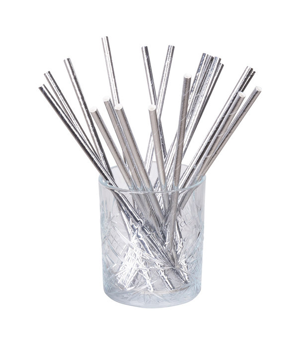Papieren Rietjes Zilver - 20 Stuks