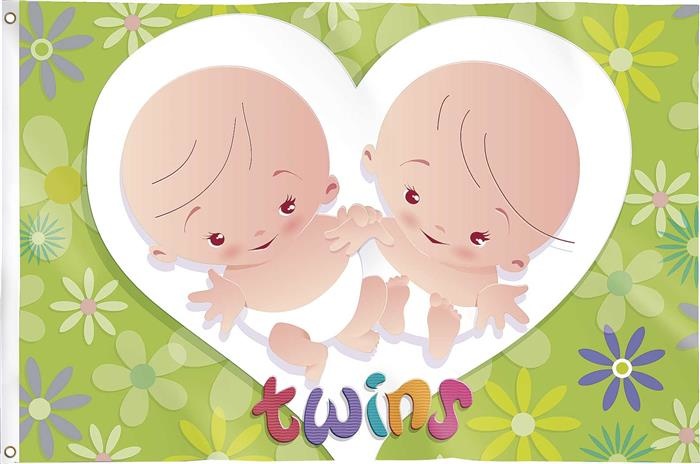 Gevelvlag "Twins" 90x60cm afbeelding