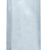 Papieren Gift Bags Zilver Metallic (10st)