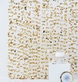 Pastel Gouden Backdrop Bloemengordijn