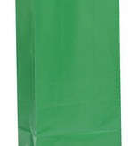 Papieren Giftbags Groen (12st)