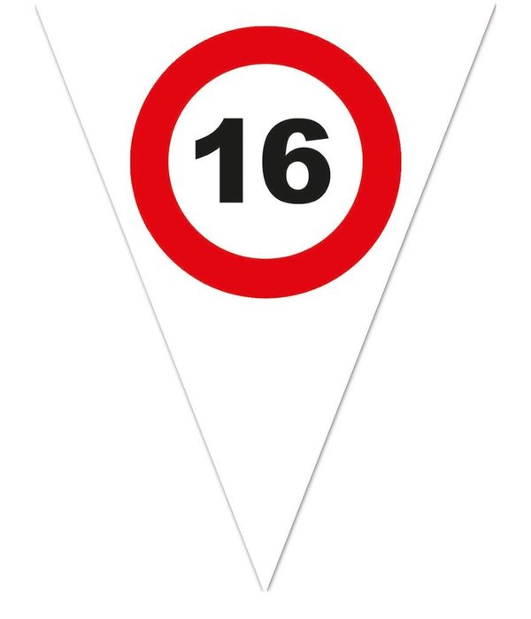 Vlaggenlijn Verkeersbord 16 Jaar Wit - 5 Meter