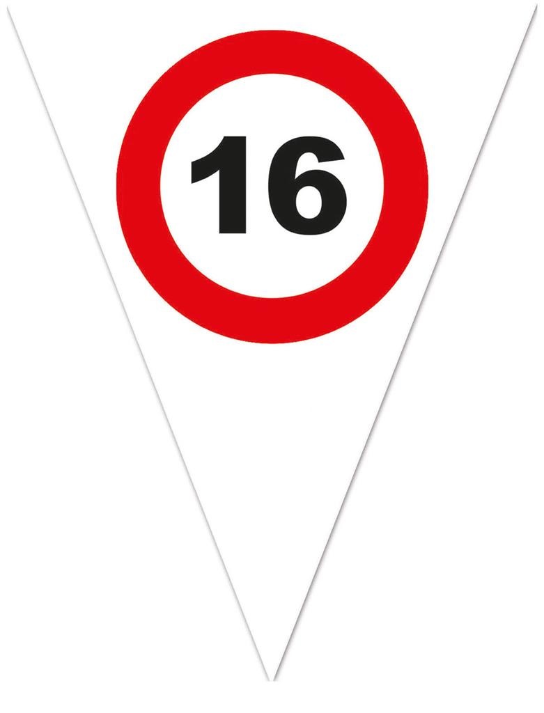 Vlaggenlijn Verkeersbord 16 Jaar Wit - 5 Meter afbeelding