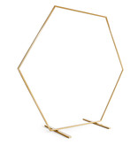 Gouden Backdrop Frame Hexagon 2 meter