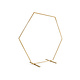 Gouden Backdrop Frame Hexagon 2 meter