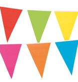 Reuzenvlaggenlijn Meerkleurig (10m)