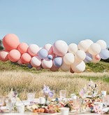 Ballonnenboog Chique Blush, Nude & Blauw