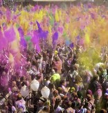 Poeder Shooter gekleurd (30cm)