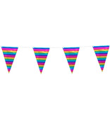 Vlaggenlijn Regenboog Metallic (10m)